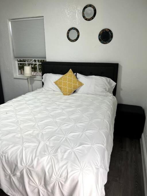 Nice And Cozy Guest House Miami Extérieur photo