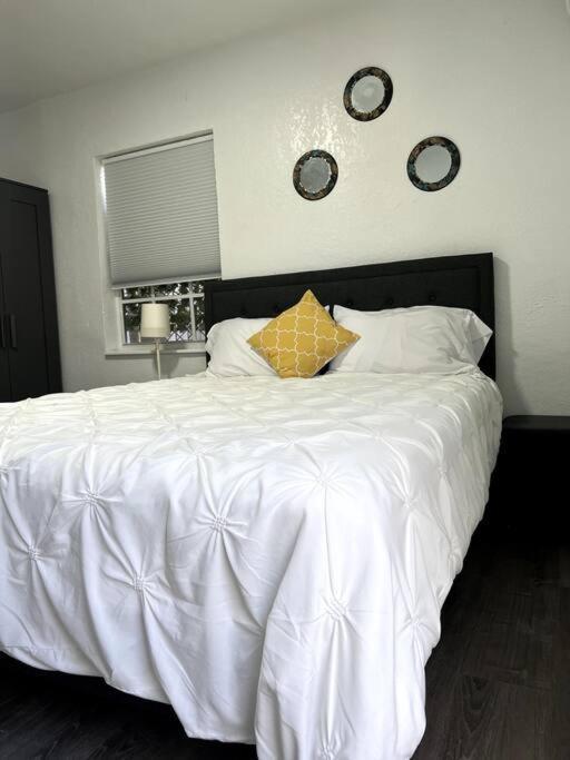 Nice And Cozy Guest House Miami Extérieur photo